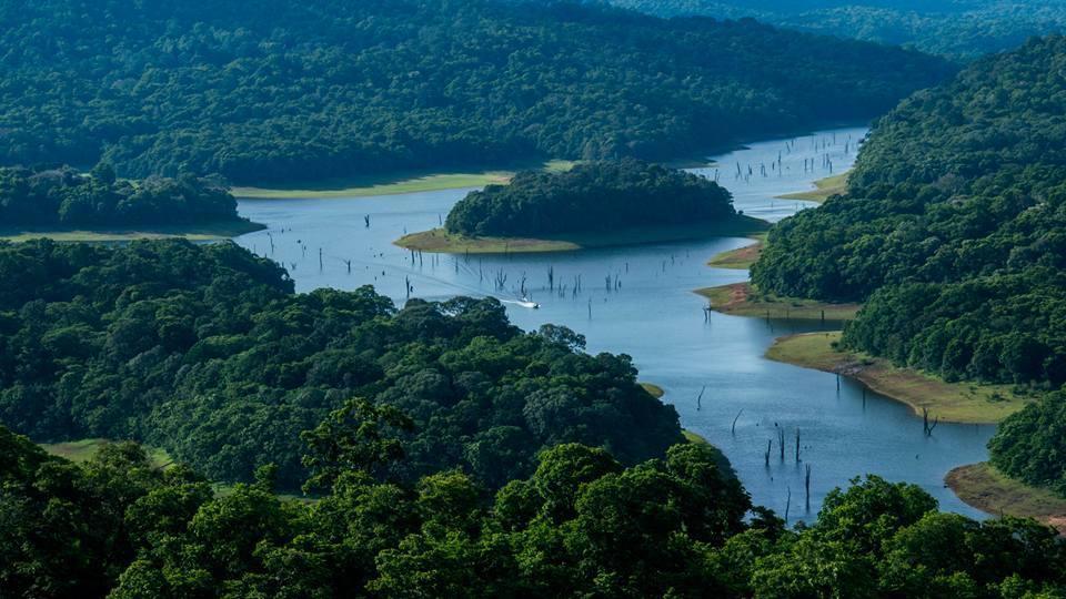 Green Leaf Home Stay Thekkady Dış mekan fotoğraf