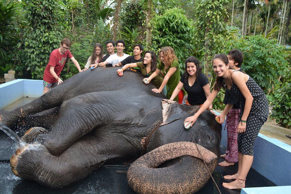 Green Leaf Home Stay Thekkady Dış mekan fotoğraf