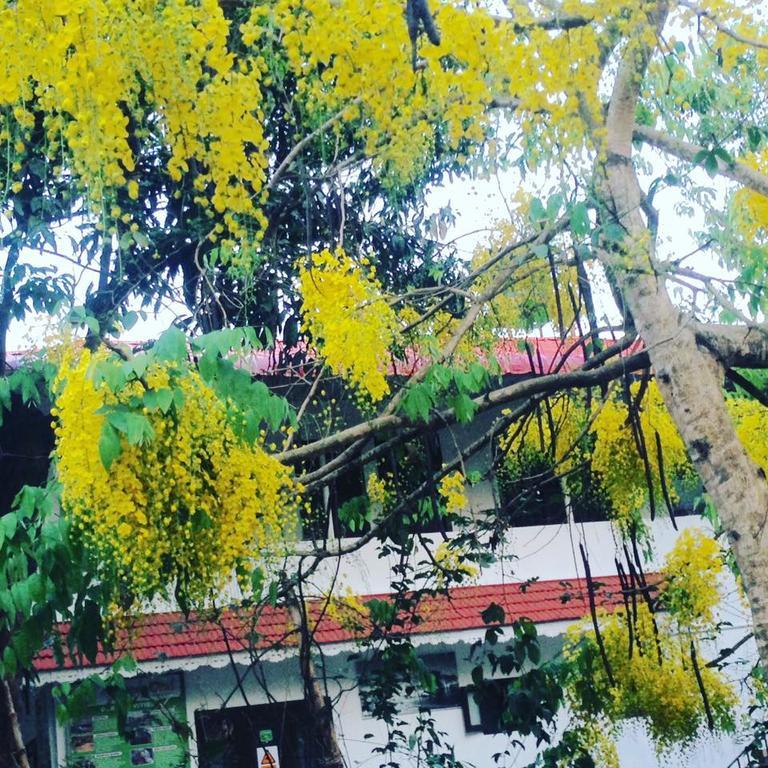 Green Leaf Home Stay Thekkady Dış mekan fotoğraf