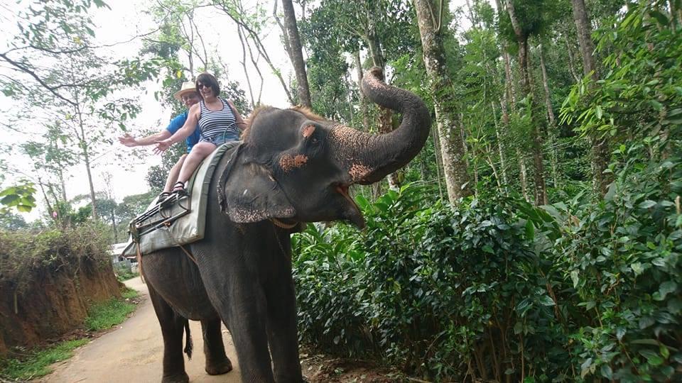 Green Leaf Home Stay Thekkady Dış mekan fotoğraf