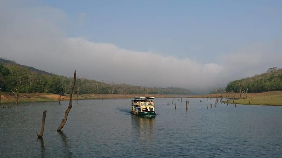 Green Leaf Home Stay Thekkady Dış mekan fotoğraf